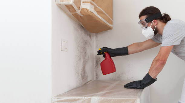 Professional Black Mold Remediation technician working in Kings Park, NY